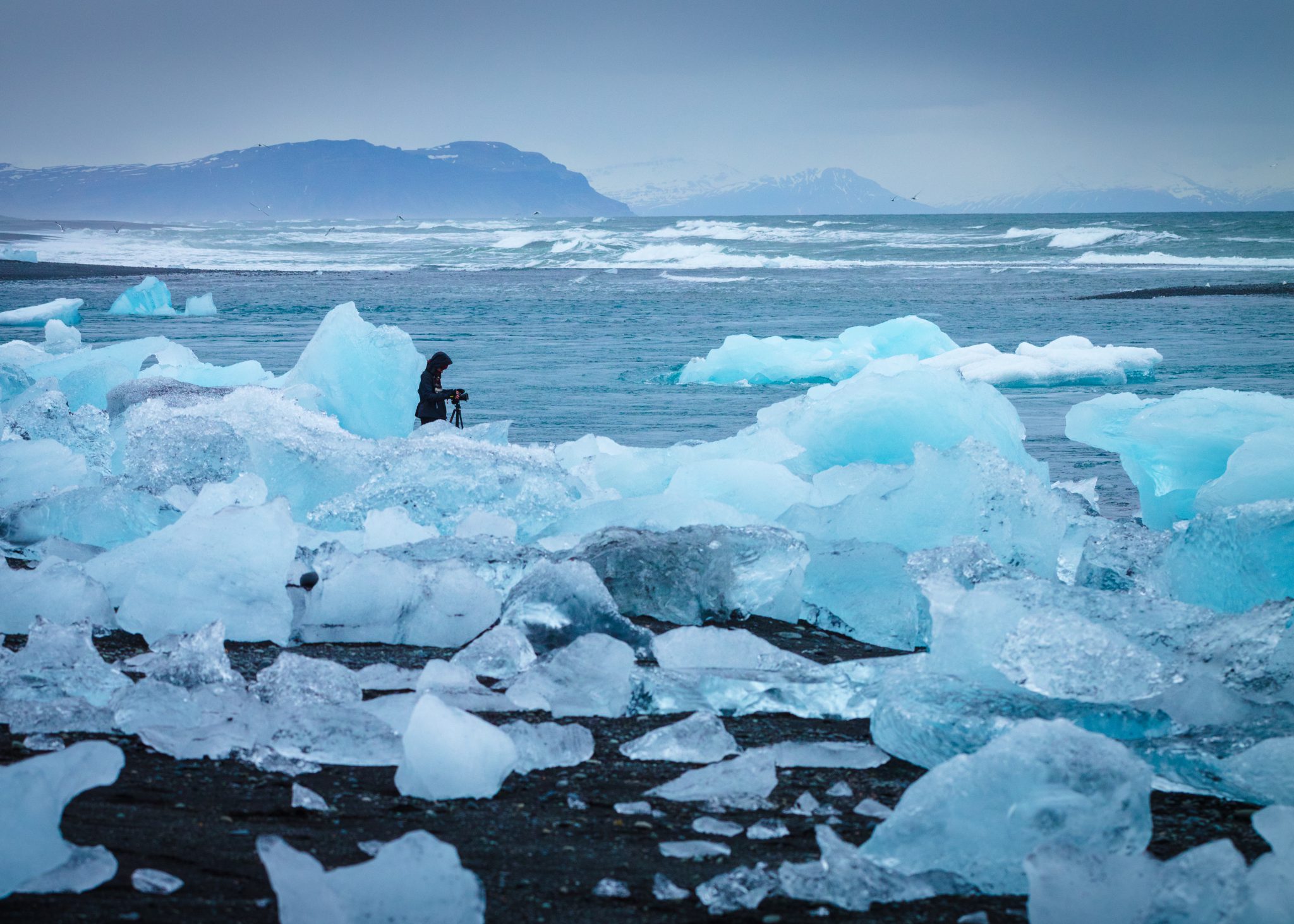 Цікаві факти про Антарктиду, які точно не всі знають