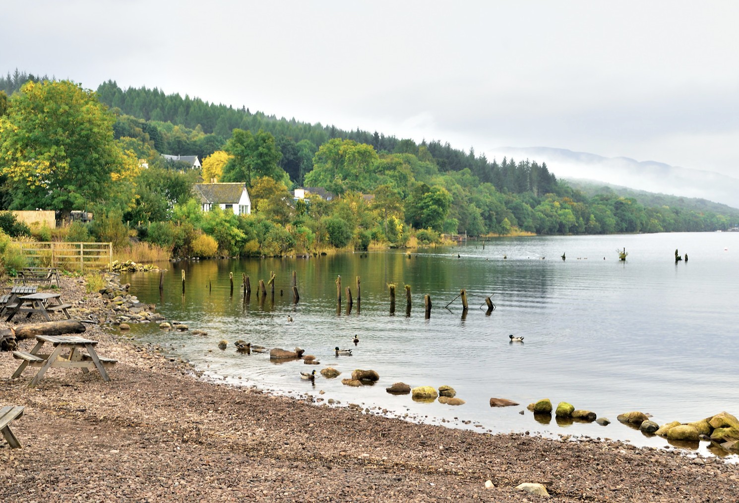 Early Morning Loch Ness