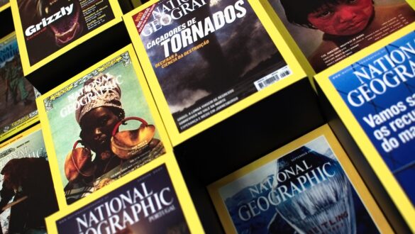 Колекція журналів National Geographic з різних років, розкладених на полицях, з характерними жовтими рамками на обкладинках і зображеннями дикої природи, культури та науки.