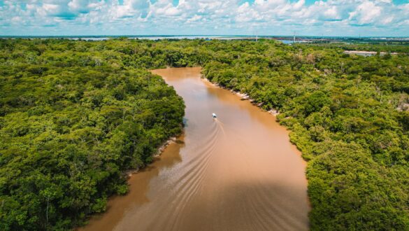 Річка з брудною водою, оточена густими тропічними лісами, на фоні яскравого блакитного неба з хмарами. Корабель рухається по воді, залишаючи за собою слід.