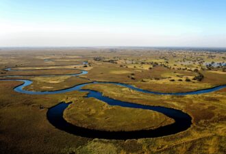 Пейзаж з виткуючими ріками, що перетинають зелені луки під ясним небом. Відображення природної краси та екосистеми, багатої на флору і фауну.