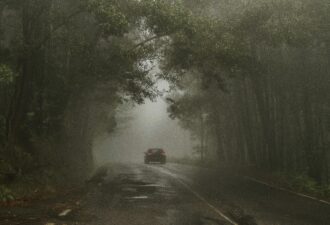Автомобіль їде вузькою мокрою дорогою крізь густий туман у лісі, де дерева з обох боків створюють темний коридор, а видимість сильно обмежена атмосферними умовами.